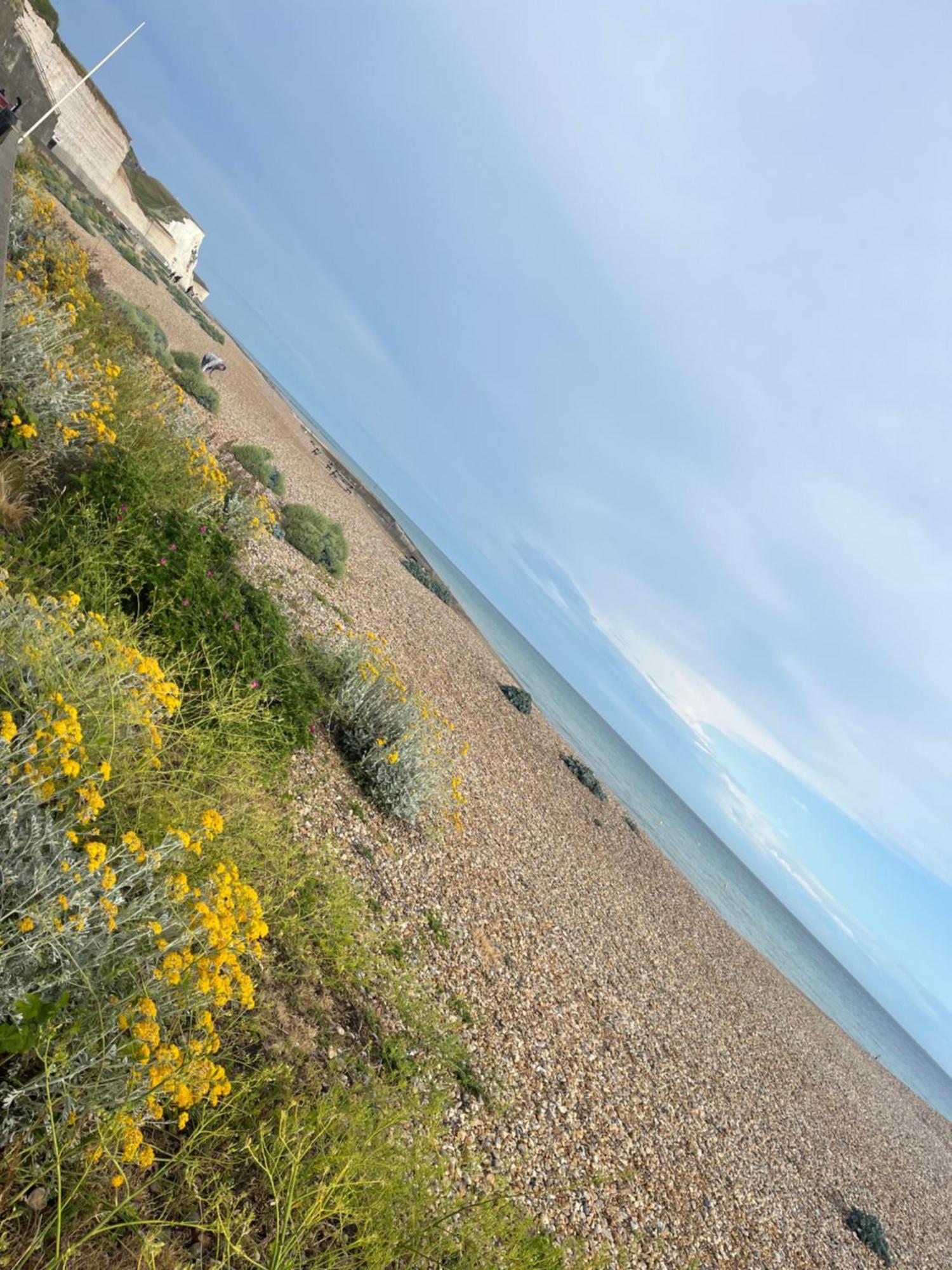 Saltdean Stay Hove Exterior foto